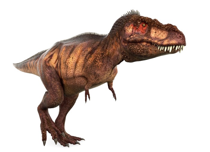 Tyrannosaurus Rex Dinosaur