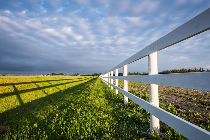 White fence along a grassy field at sunset