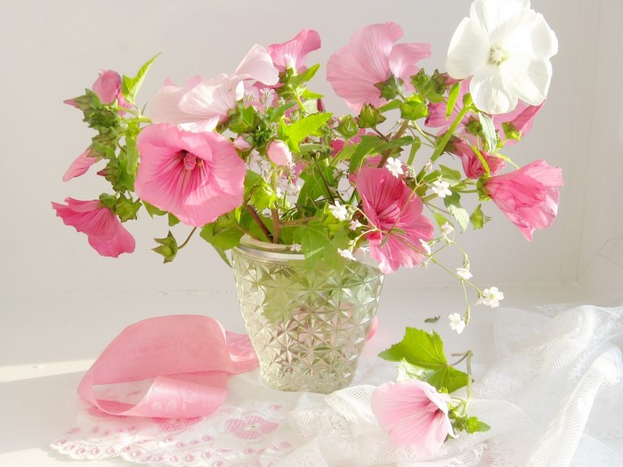 Pink and white malva flowers in a glass vase