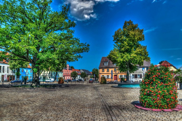 Cobblestone Square with Trees and Buildings in Germany