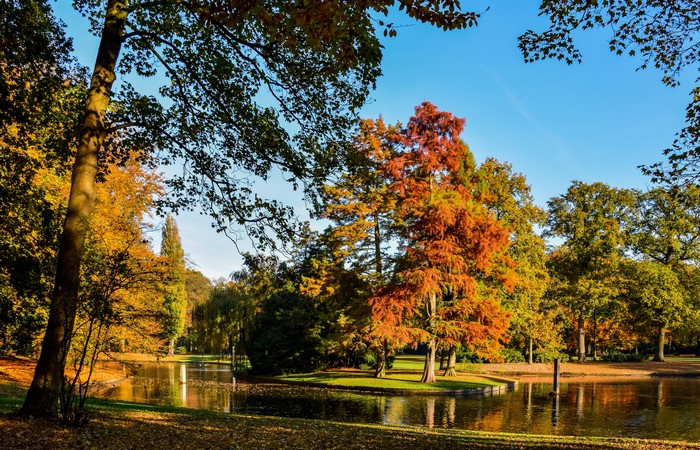 Autumn in Reeburgpark Vught, Netherlands with Pond and Trees