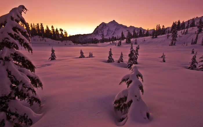 Snowy mountain landscape at sunset with pine trees