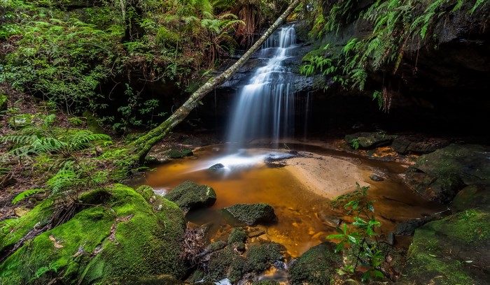 Waterfall cascading into a pool in a mossy forest
