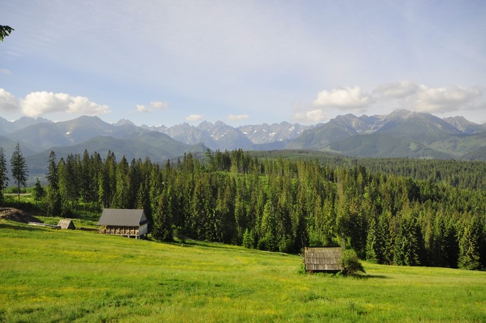 Mountain landscape with forest and meadows in Poland