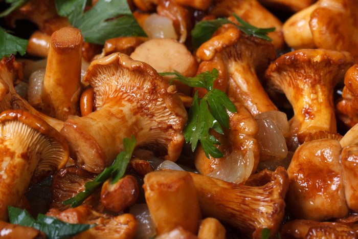 Mushrooms closeup