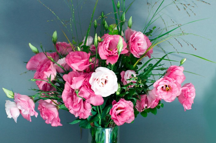 Pink and white eustoma flowers in a vase