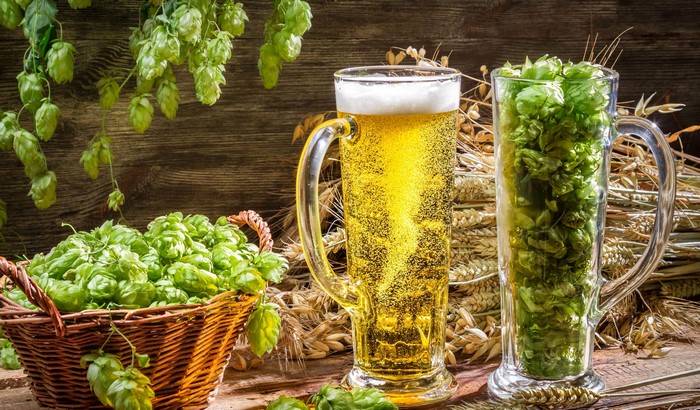 Beer and Hops in Wicker Basket