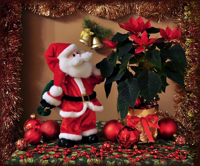Santa Claus with Poinsettia and Christmas Ornaments