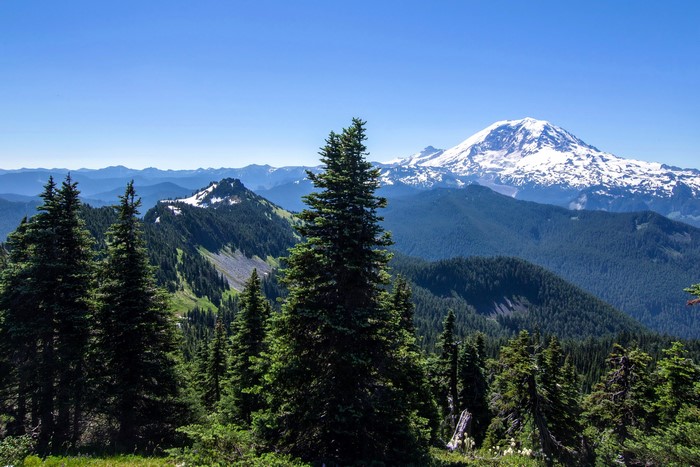 Snow-capped mountain range with evergreen forests