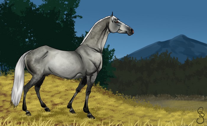 Grey Horse in a Field with Mountains