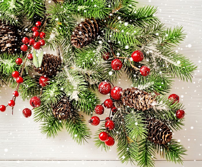 Christmas Pine Branches with Berries and Cones