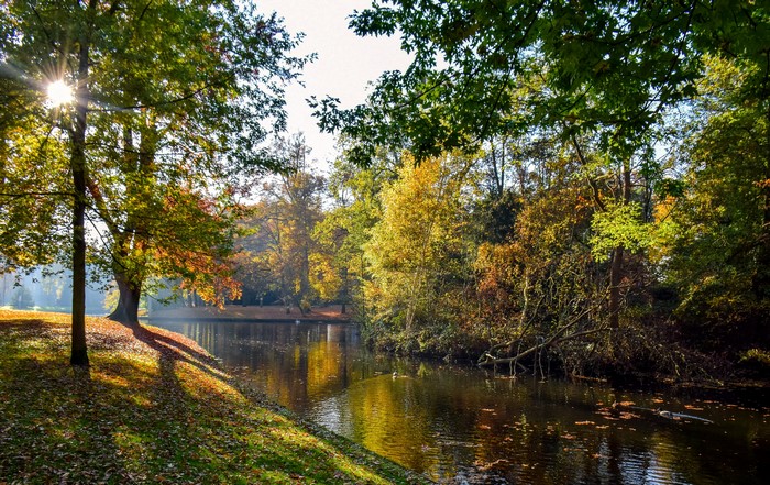 Reeburgpark Vught, Netherlands Autumn Pond with Trees and Sunlight