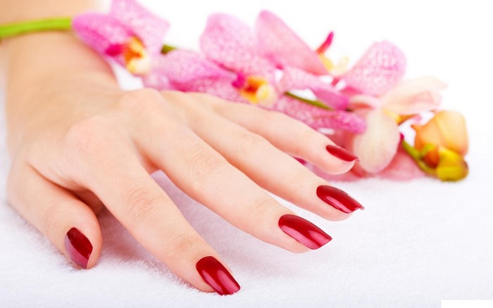 Woman's hand with red nails and pink orchids