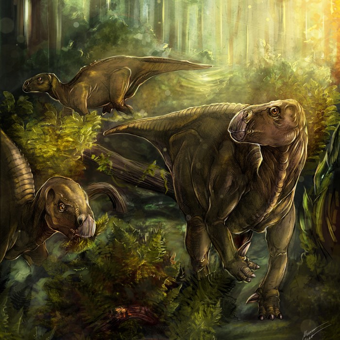 Three Iguanodon dinosaurs in a prehistoric forest