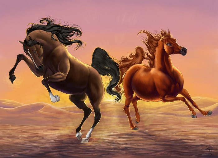 Two horses running in a desert at sunset