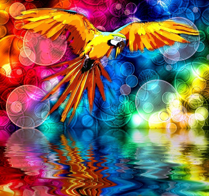 Colorful parrot flying over abstract water reflection