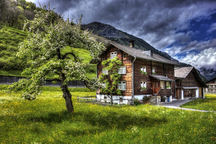 4K Switzerland Houses Mountains Trees Grass HDR