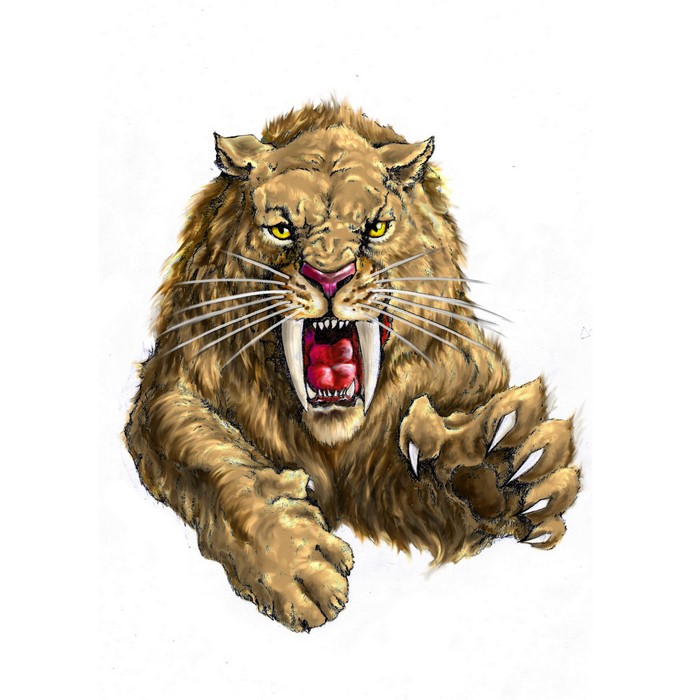 Painting of a roaring Smilodon with bared teeth