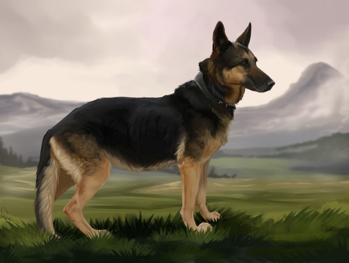 German Shepherd Dog Painting