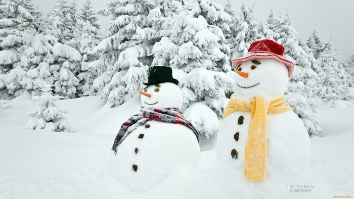 Two snowmen in a snowy forest with trees