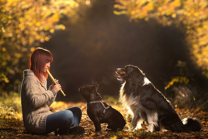 Girl playing flute for dogs in autumn forest