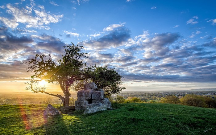 Sunrise over a grassy hill with a tree and stones