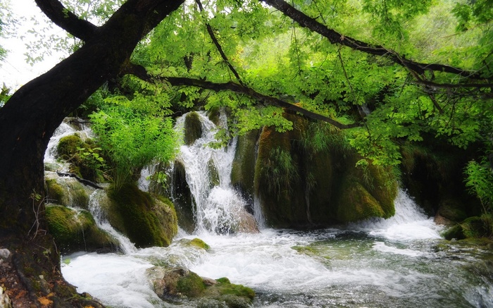 Waterfall cascading over mossy rocks surrounded by trees