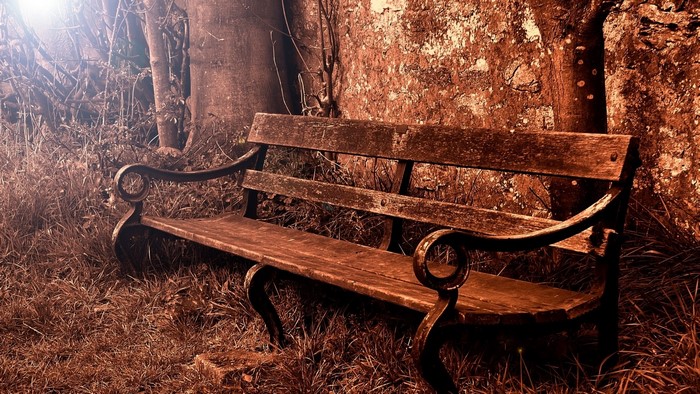 Wooden park bench by a stone wall