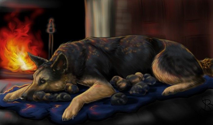 German Shepherd Dog and Puppies by Fireplace