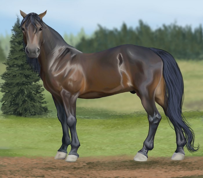 Brown horse standing in a field