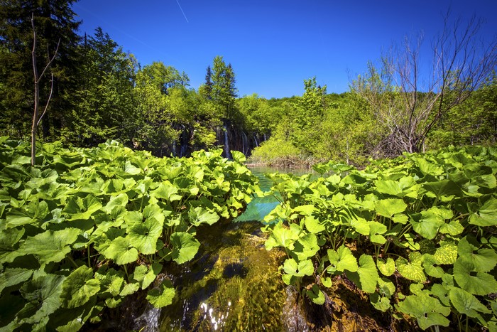 4K Plitvice Lakes National Park Croatia Waterfalls Foliage