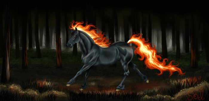 Black horse with fiery mane and tail in a dark forest