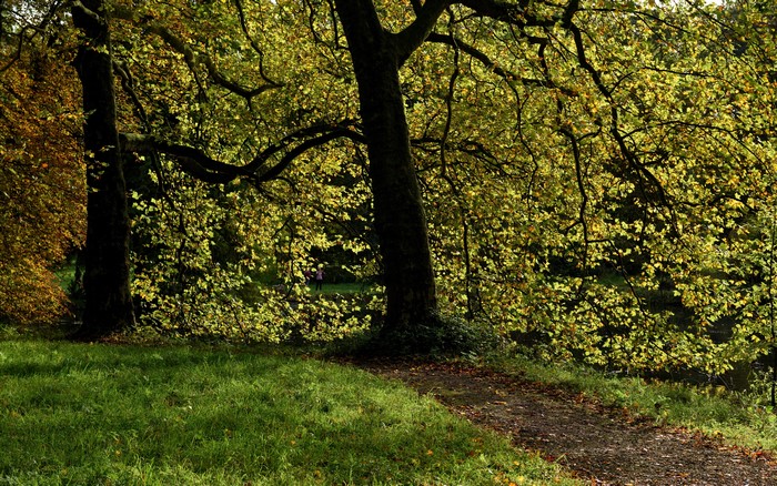 Trail through De Haar Castle Park in the Netherlands