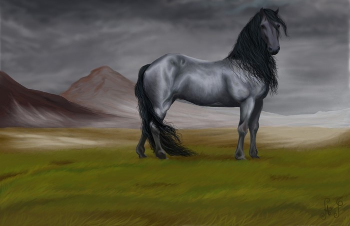 A gray horse stands in a field with mountains in the background