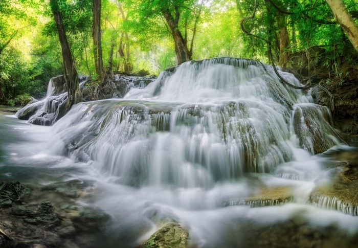 Cascading waterfall in a lush green forest
