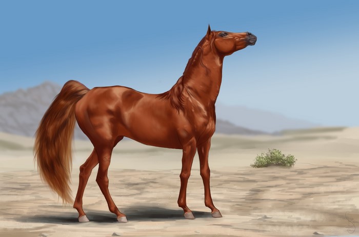 Brown horse standing in a desert landscape
