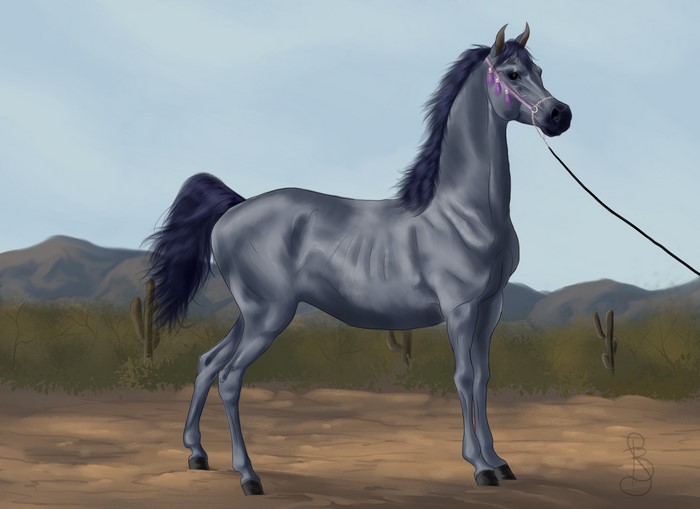 Grey Horse in a Desert Landscape
