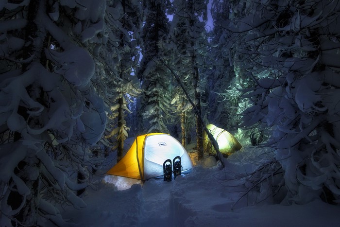 Winter camping in a snowy forest at night