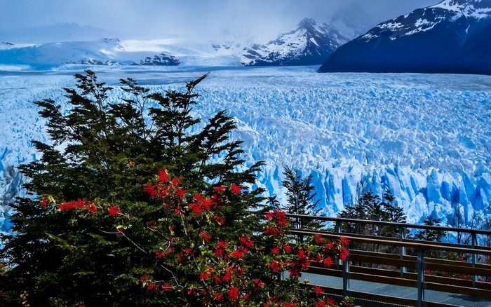 Perito Moreno Glacier, Patagonia, Argentina