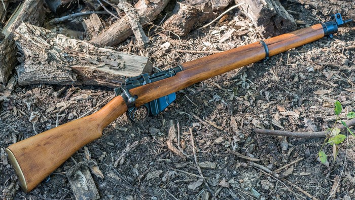 Lee-Enfield rifle on forest floor