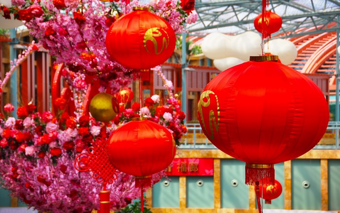 Red Chinese lanterns and plum blossoms