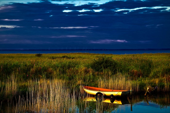 Boat on a river with reeds and dark sky