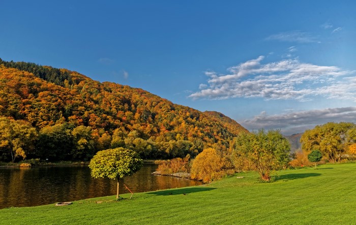 Autumn forest by the river in Ediger-Eller, Germany
