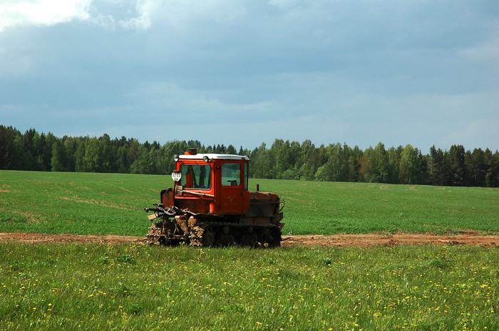 Orange tractor in a green field with trees