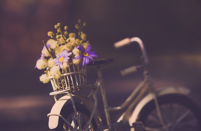 Bicycle with flowers in a basket