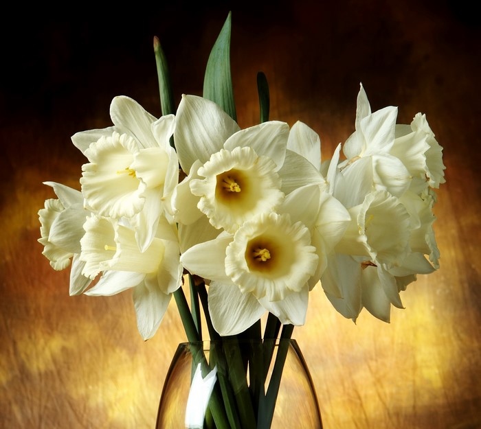 Bouquet of White Daffodils in a Vase