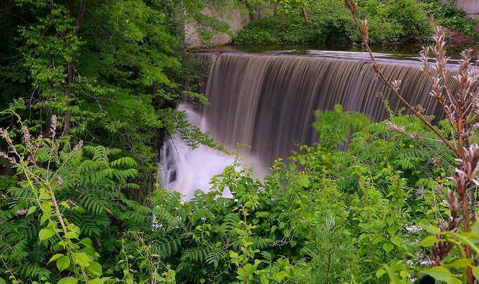 Waterfall surrounded by lush green trees