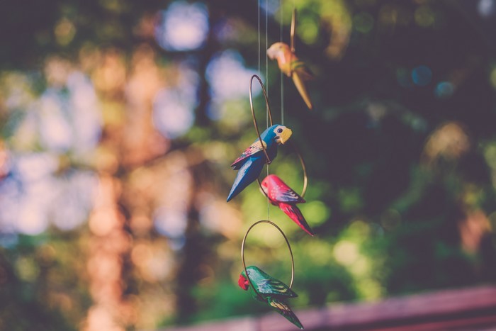 Four colorful parrot wind chimes hanging