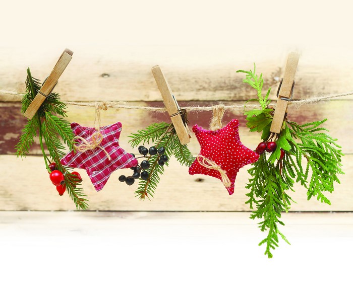 Christmas Stars and Branches on Clothesline
