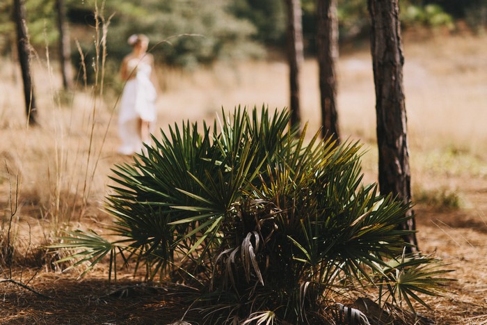 Bride walking in a forest with shrubs